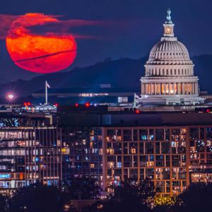 Image post by @popville on Instagram