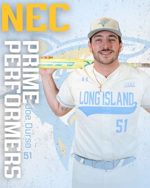 Image post by @liubaseball on Instagram