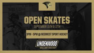 Image post by @lu_rollerhockey on Instagram