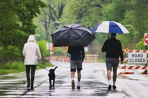 Image post by @depauljournalism on Instagram