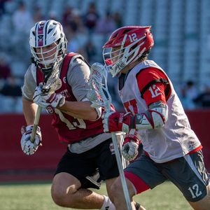 Image post by @terriermlax on Instagram