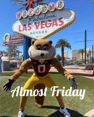 Image post by @goldythegopher on Instagram