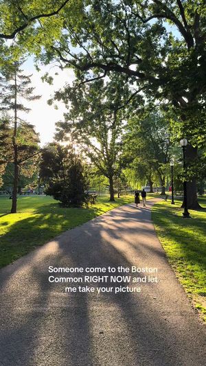 Video post by @byhaleyjo on TikTok