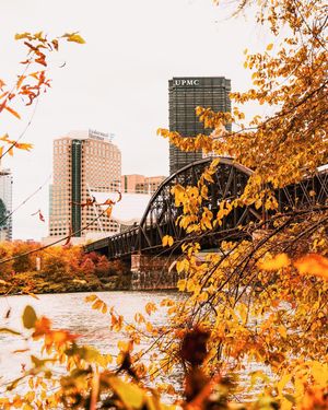 Image post by @brandonchmura on Instagram