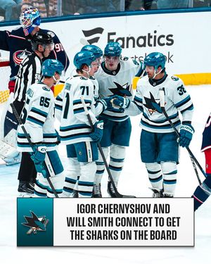 Image post by @nhl on Instagram