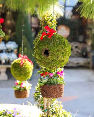 Image post by @rogersgardens on Instagram