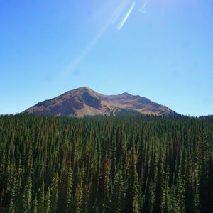 Image post by @skicrestedbutte on Instagram