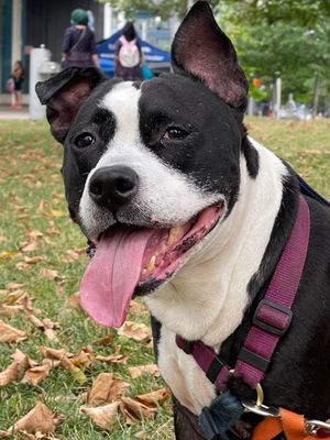 Image post by @rynrvra on Instagram