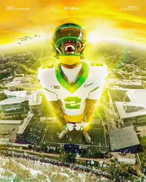 Image post by @goducks on Instagram