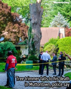 Image post by @newsday on Instagram