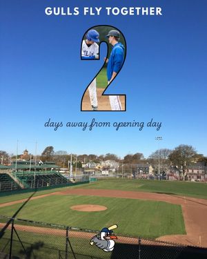 Image post by @newportgulls on Instagram