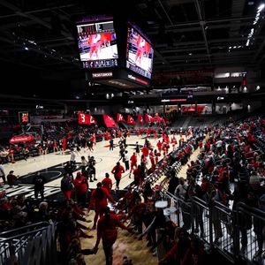 Image post by @gobearcatswbb on Instagram