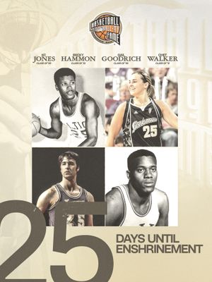 Image post by @hoophall on Instagram