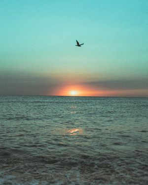 Image post by @mismocat on Instagram