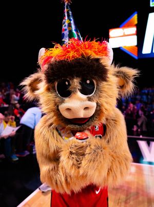 Image post by @windycitybulls on Instagram