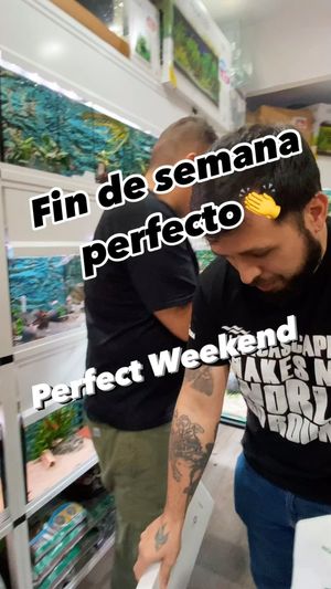 Video post by @aqualupi on Instagram
