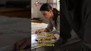 Video post by @bugbustersusa on YouTube