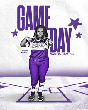 Image post by @valkyriessoftball on Instagram