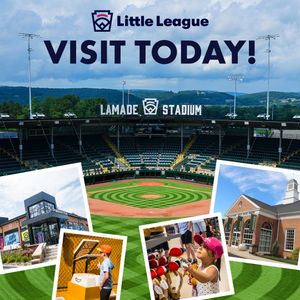 Image post by @littleleague on Instagram