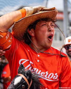 Image post by @ncaabaseball on Instagram