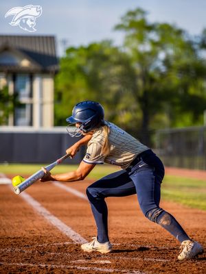Image post by @csubucssoftball on Instagram