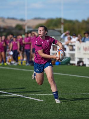 Image post by @salesharkswomen on Instagram
