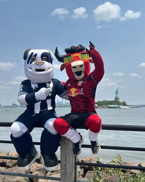 Image post by @newyorkredbulls on Instagram