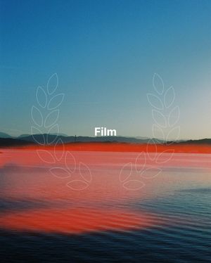 Image post by @unsplash on Instagram