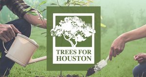 Image post by @houstonpubmedia on Instagram