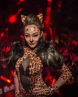 Image post by @marqueelv on Instagram