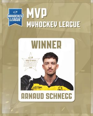 Image post by @swissicehockeyfederation on Instagram