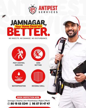 Image post by @jamnagaronlinemarketing on Instagram