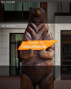 Image post by @graduatehotels on Instagram