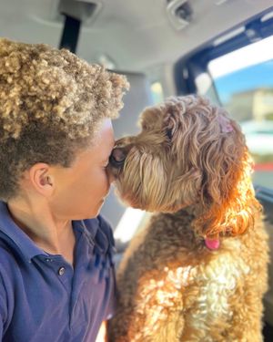 Image post by @stellaandblaise on Instagram