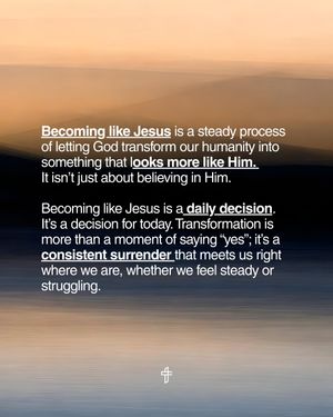 Image post by @wearetransformation on Instagram