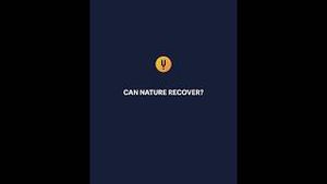 Video post by @curiositystreaming on YouTube