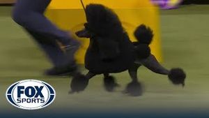Video post by @foxsports on YouTube