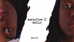 Video post by @mrmillymontana on YouTube