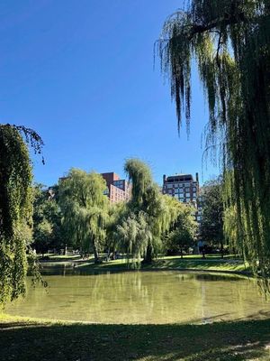 Image post by @bostoncollege on Instagram