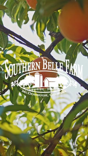 Video post by @southernbellefarm on Instagram