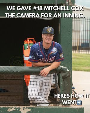 Image post by @burlington_bees on Instagram