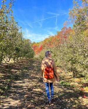 Image post by @hamptongvilledt on Instagram