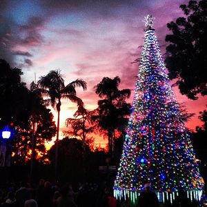 Image post by @sandiegozoo on Instagram