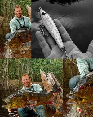 Image post by @black_ledge_lures on Instagram