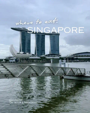 Image post by @visit_singapore on TikTok