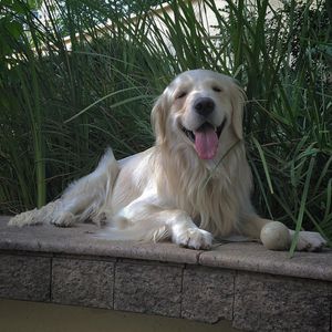 Image post by @mikethewhitegolden on Instagram