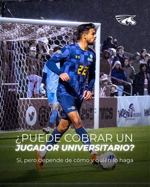 Image post by @udbsports on Instagram