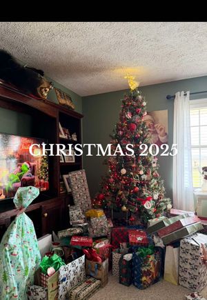 Video post by @kyleapaige on TikTok