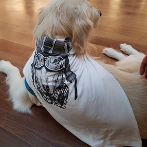 Image post by @mikethewhitegolden on Instagram