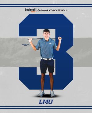 Image post by @lmurailsplitters on Instagram